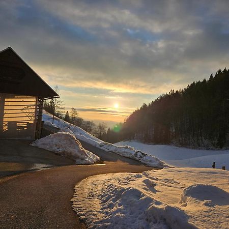 Tourist Farm Pr'Dovar Церклье-на-Гореньскем Экстерьер фото