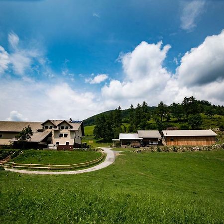 Tourist Farm Pr'Dovar Церклье-на-Гореньскем Экстерьер фото