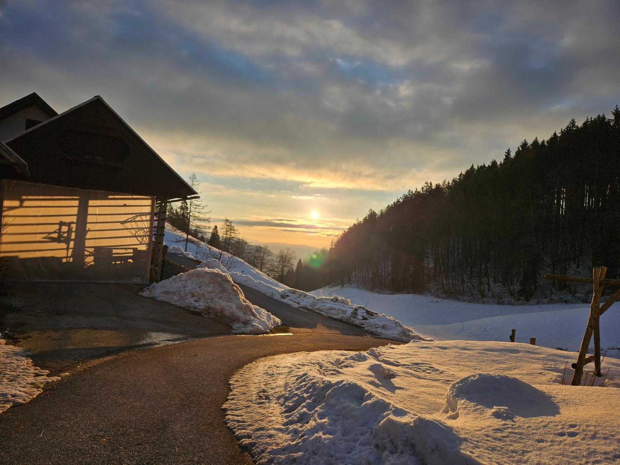 Tourist Farm Pr'Dovar Церклье-на-Гореньскем Экстерьер фото