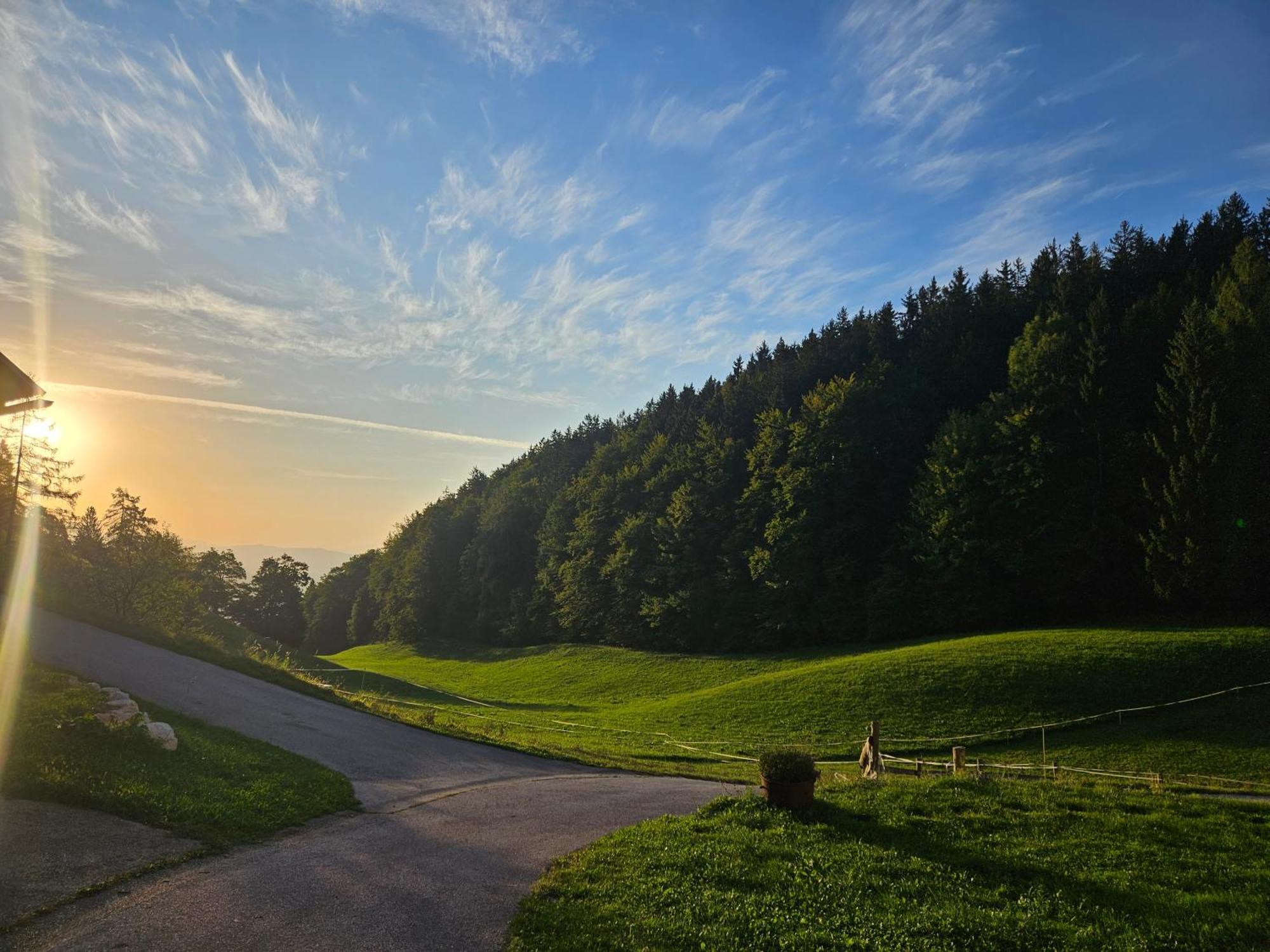 Tourist Farm Pr'Dovar Церклье-на-Гореньскем Экстерьер фото