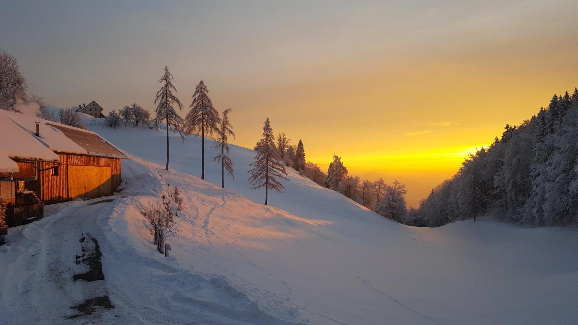 Tourist Farm Pr'Dovar Церклье-на-Гореньскем Экстерьер фото