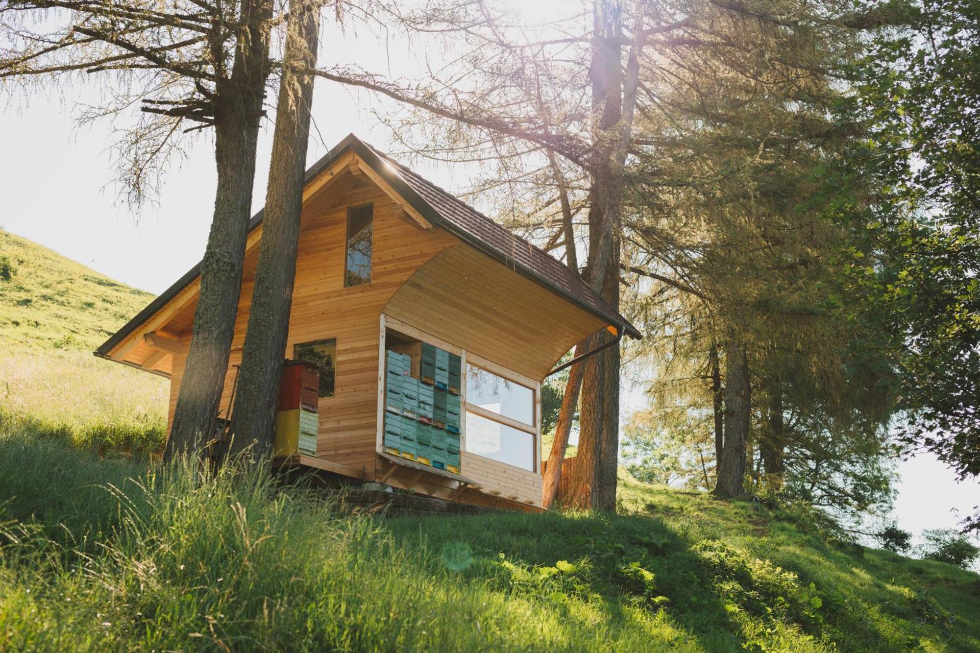 Tourist Farm Pr'Dovar Церклье-на-Гореньскем Экстерьер фото