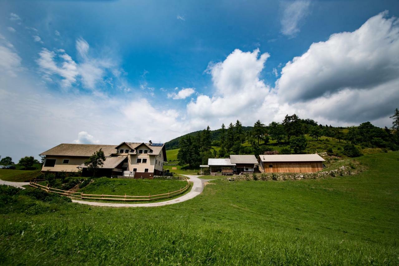Tourist Farm Pr'Dovar Церклье-на-Гореньскем Экстерьер фото